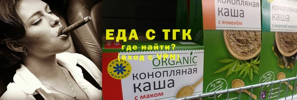 тгк Бородино