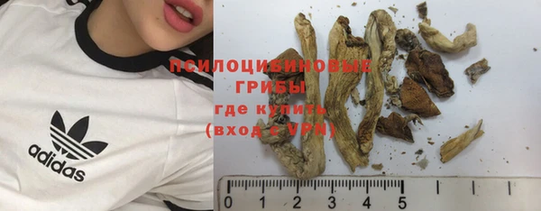 МДПВ Бугульма