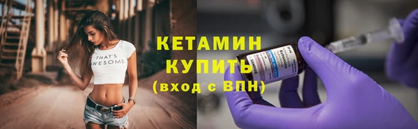 индика Богородск