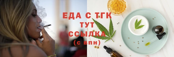 тгк Бородино