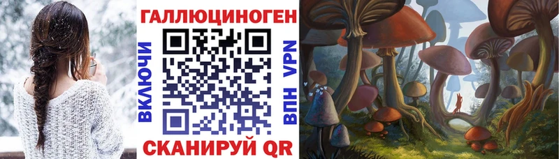Псилоцибиновые грибы Cubensis  Норильск 