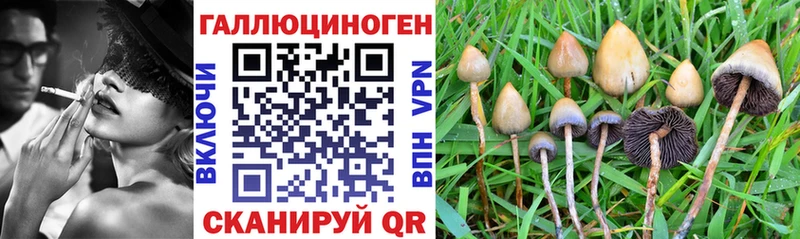 Галлюциногенные грибы ЛСД Норильск